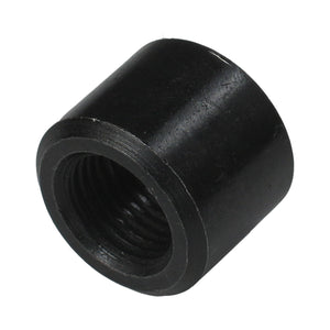 C73-661_1 Pro-werks AN Thread Weld Bung Female Steel -6 AN