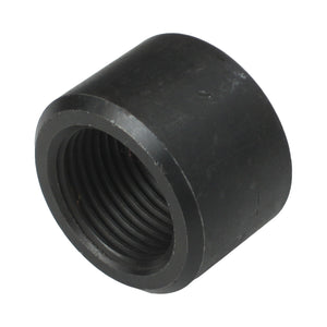 C73-664_1 Pro-werks AN Thread Weld Bung Female Steel -12 AN