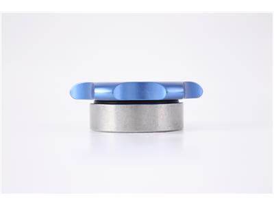 C73-752_3_bd55fec9-85c8-45ba-b9b0-cd607eb4ad19 Easy Turn Fill Cap with Stainless Steel Weld Bung 2 Inch without Lanyard Boss Blue