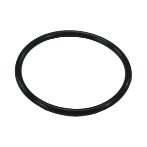 Black Buna rubber O-ring photographed alone on a white background, a Pro-Werks Easy Turn Filler Cap replacement seal