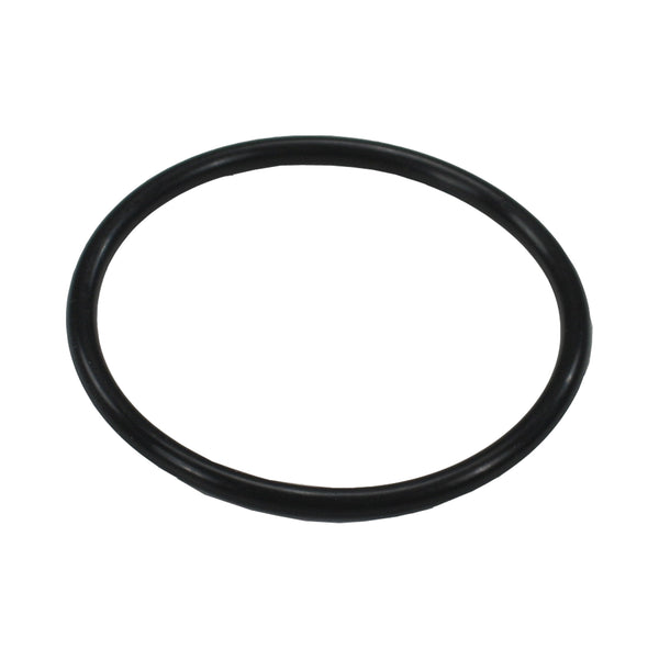 C73-788_1-A Easy Turn Fill Cap Replacement O-Ring, Buna Material 2-3 4 Inch with Lanyard Boss: .210 Inch Thick Buna Material